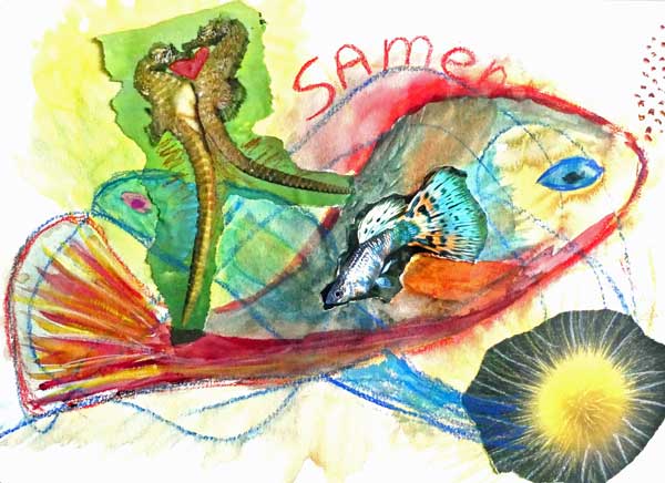 Zomerprogramma 2025 Stromen